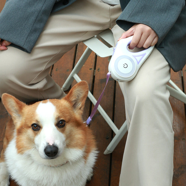 Retractable Dog Leash with Spotlight and Collar